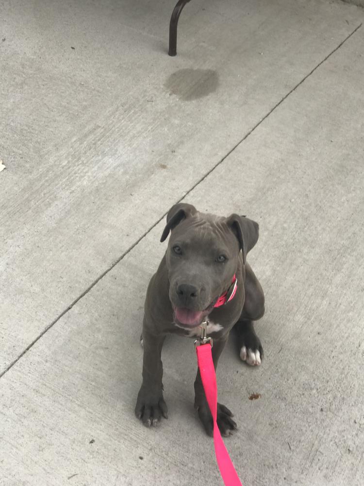 fe36c7f0-c3d7-11ef-99d4-95ffbf966b06