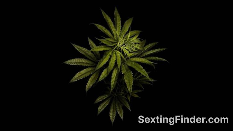 d35cd370-ccac-11ef-a218-719cfa9c82bb