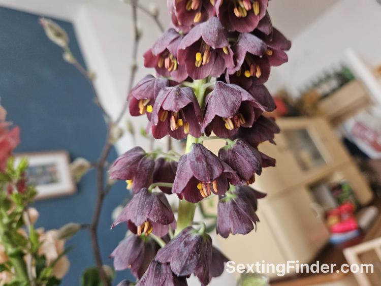 3ee4f1a0-0a3c-11f0-bc30-db5bfac8e199