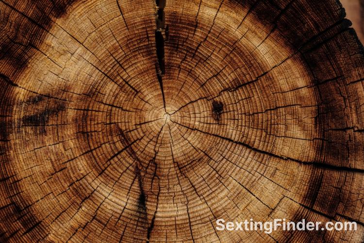 cfa83390-fa19-11f0-baac-f1ab46423a38