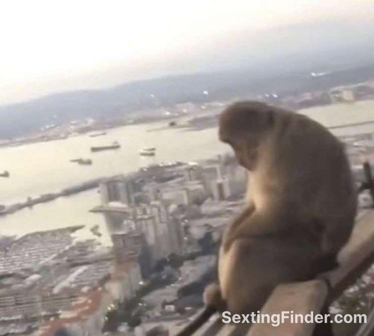 54275140-2067-11f0-a3b2-e1fdb7a91a17