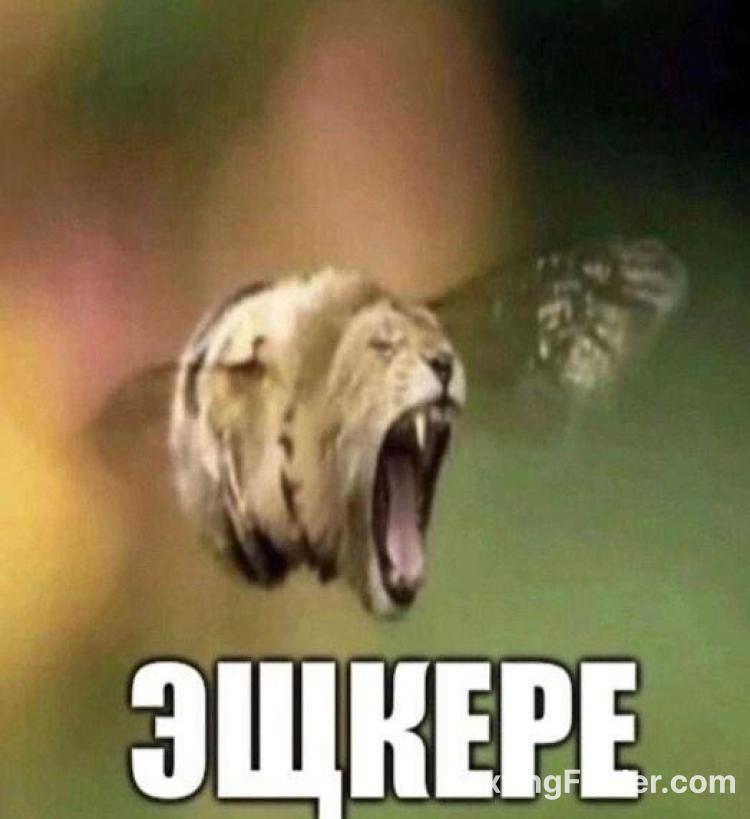 25fdffc0-21d8-11f0-abae-fd4af2d0586e