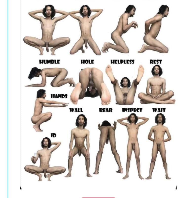 afd7eab0-9a7e-11f0-9dac-b78b31a9ef28