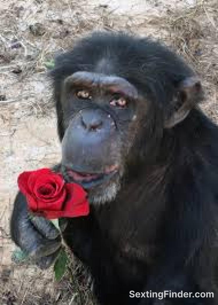 430ad2e0-5c7f-11f0-924a-ad25d85e7e6d