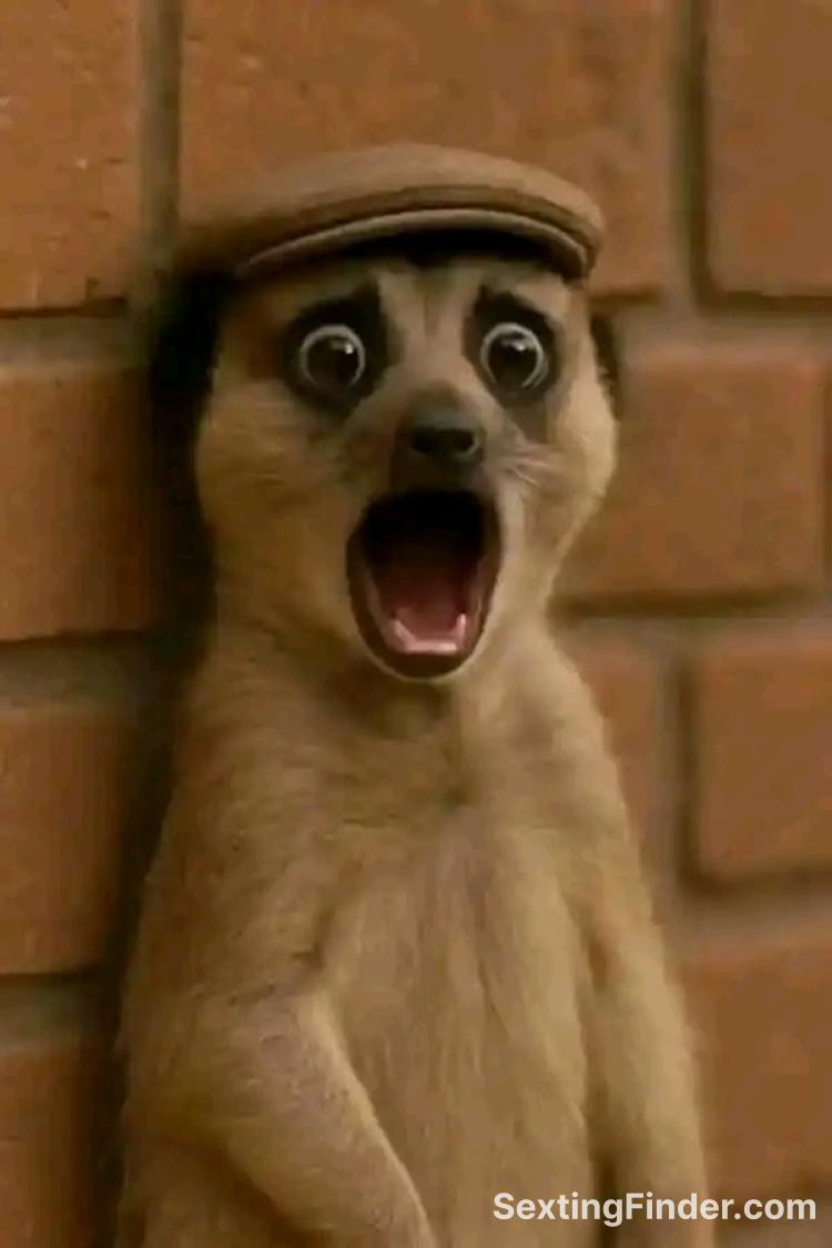 8d7678f0-665e-11f0-a39f-ef483739f153