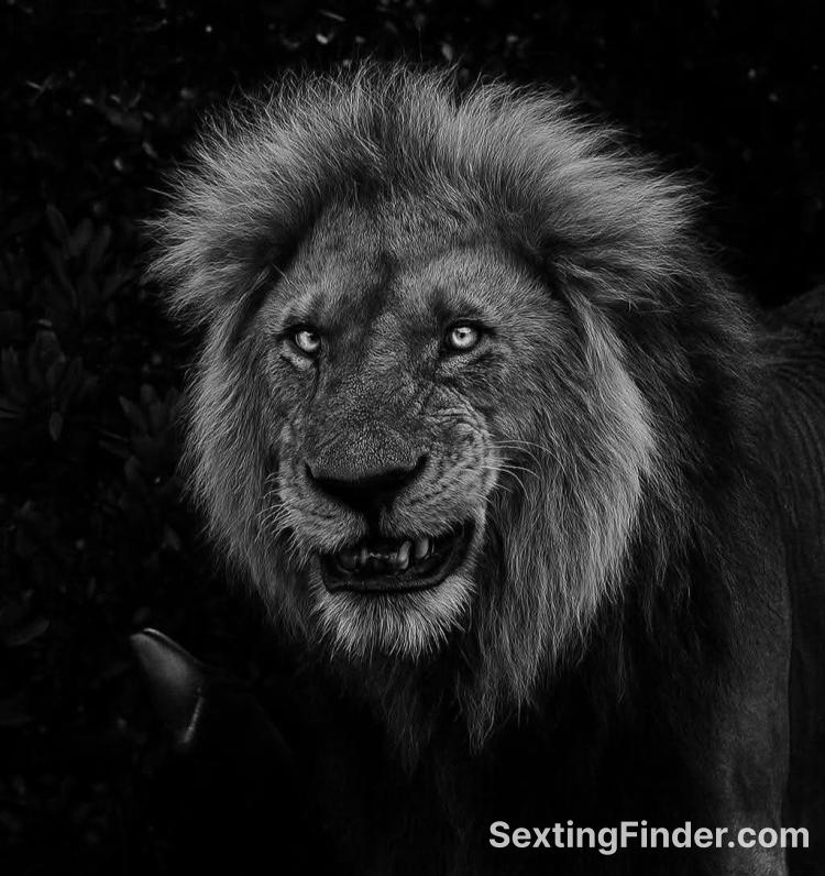 23ae1dd0-8094-11f0-a8e1-49972d6d04a5