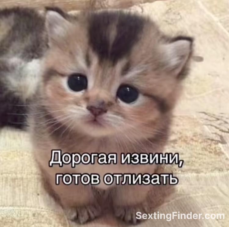 15210fa0-a814-11f0-aa73-fb4233748c28