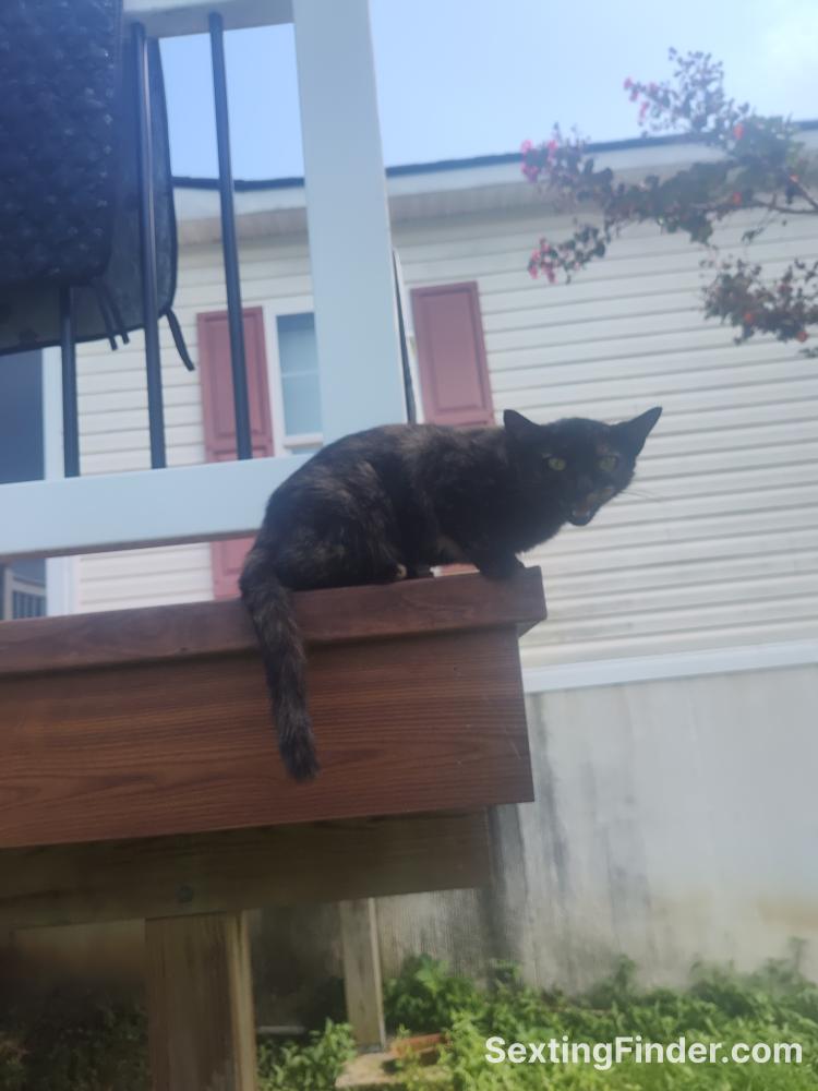 c2b16e30-acfd-11f0-a33b-afdbc2f83641