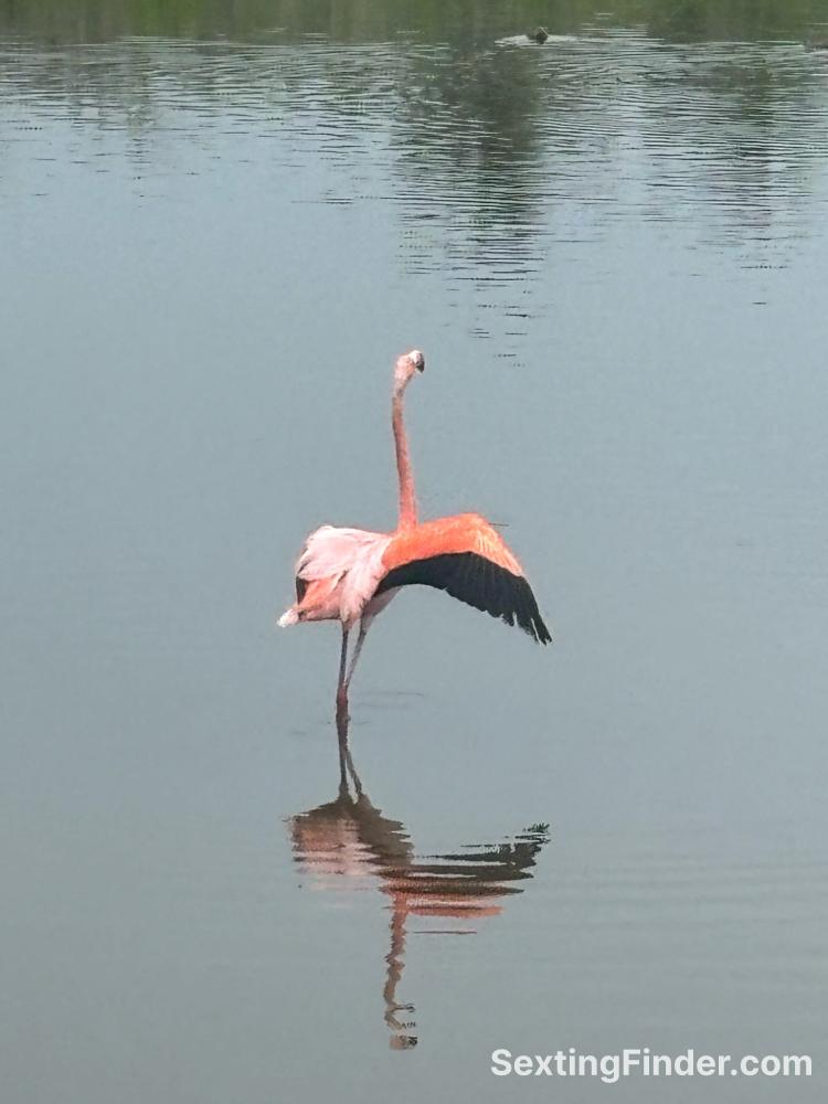 e5490f90-b156-11f0-97de-0d34fbd6d21b