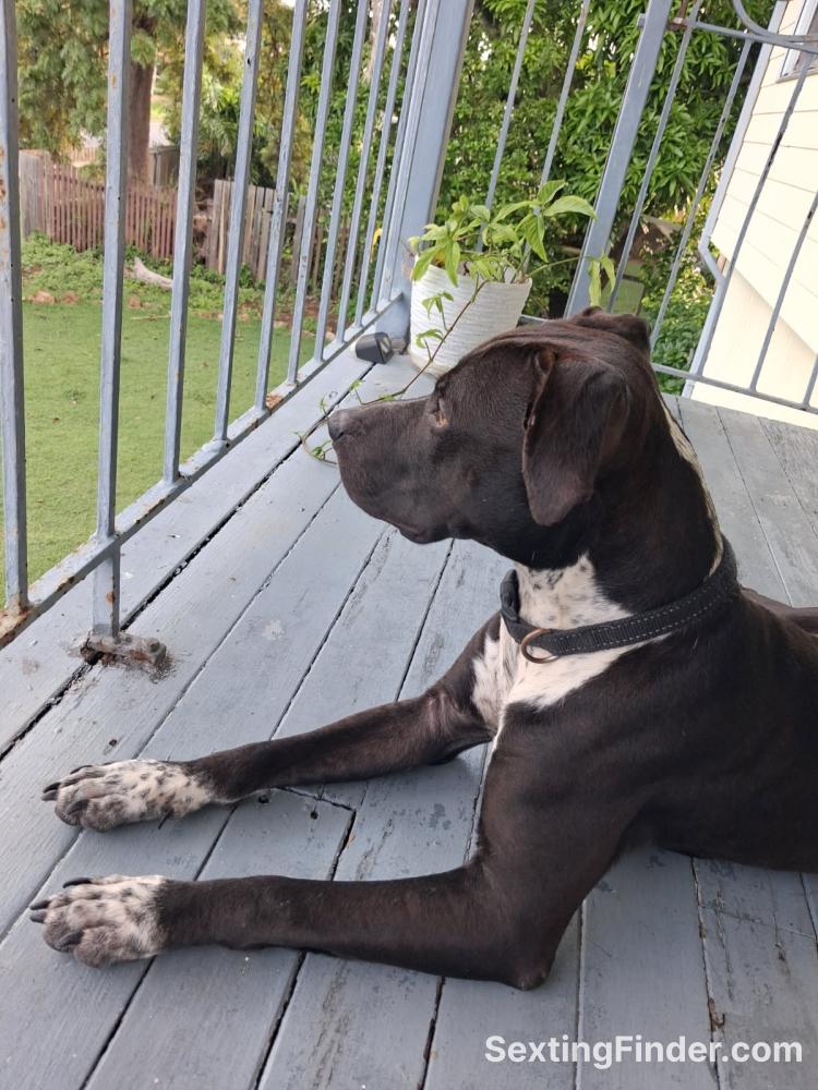 ef31c4b0-3211-11f1-a8fa-6362858113e7