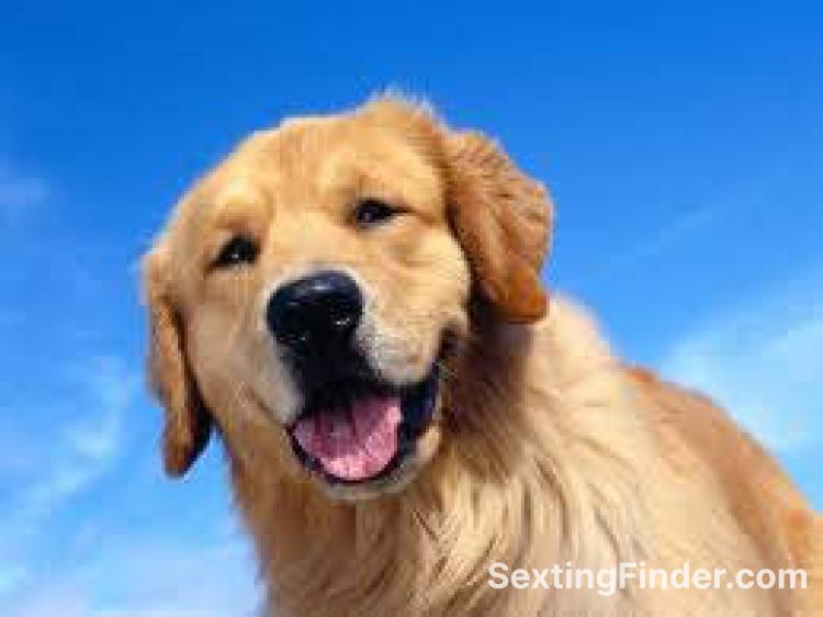 bad700a0-c6b3-11f0-9d12-1996a3d1504c