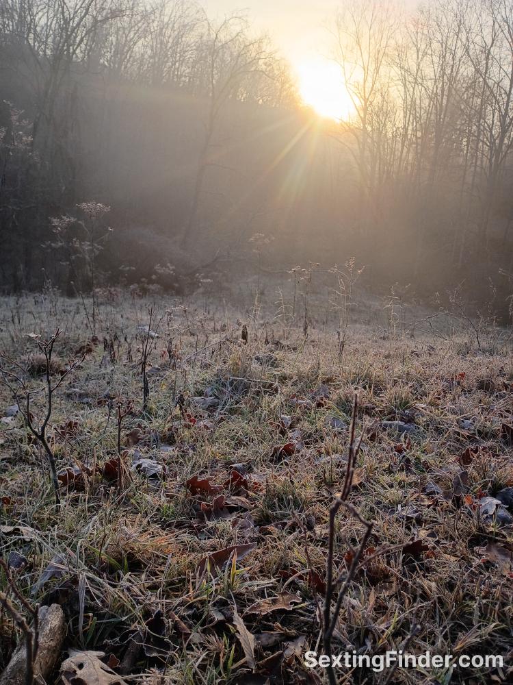 577d0580-d125-11f0-b105-91d188b5036f