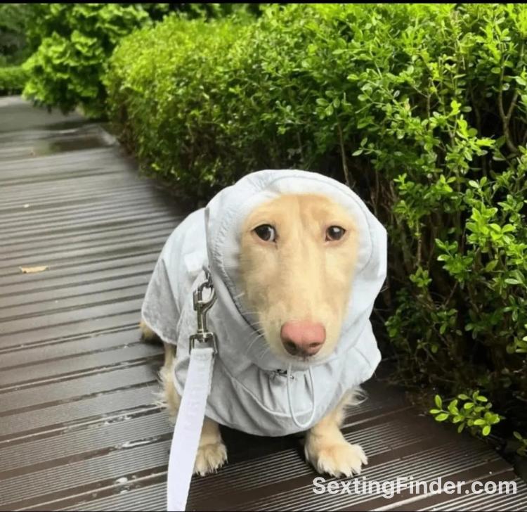 d1a63620-d1f0-11f0-bd68-ad696628dcd3