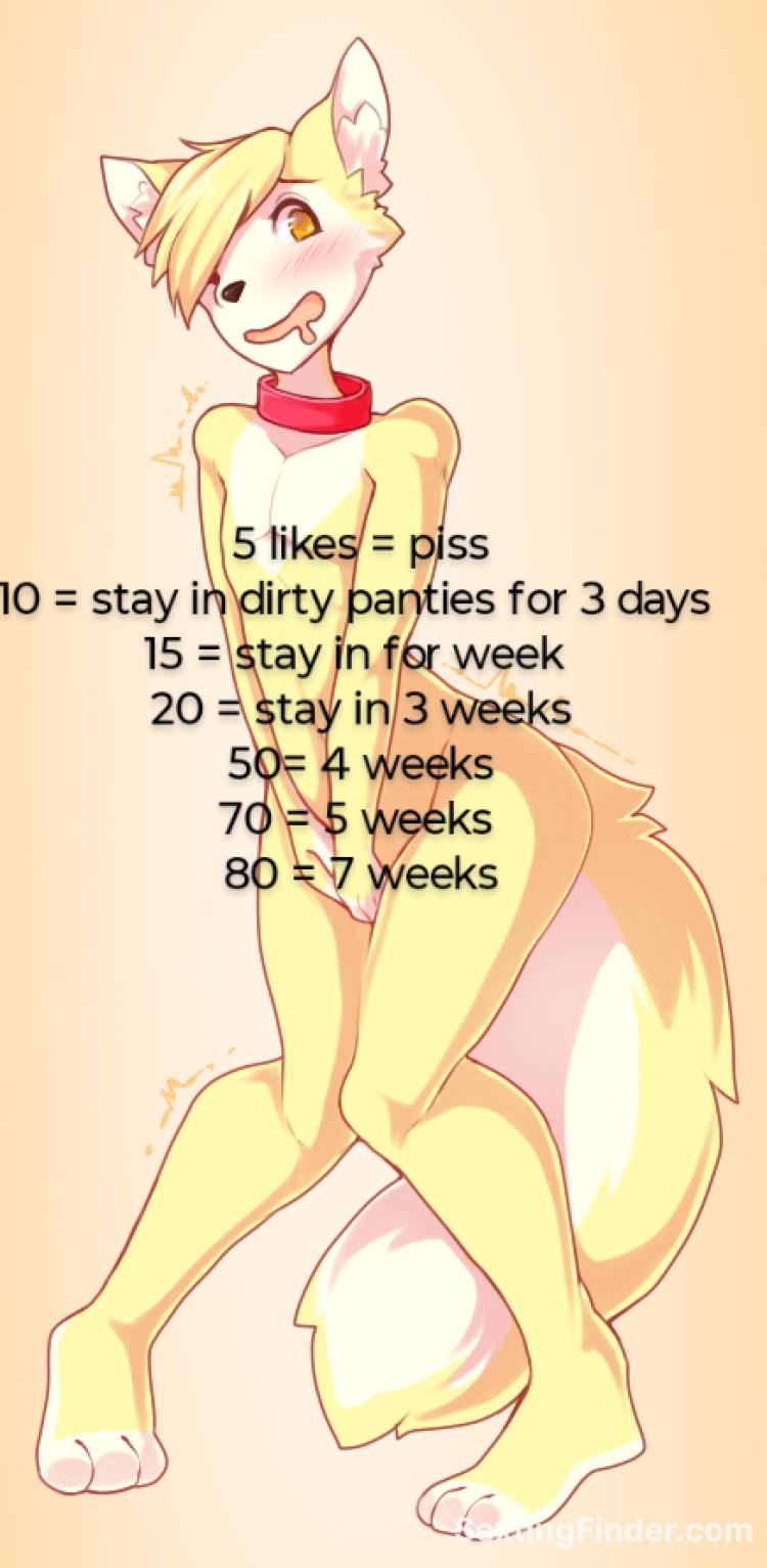 0907d940-dc62-11f0-81fc-bd6f43a178e2