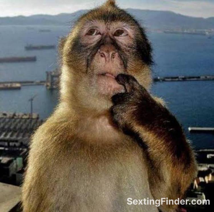 f059bc70-de91-11f0-8ebb-5b40d447678f