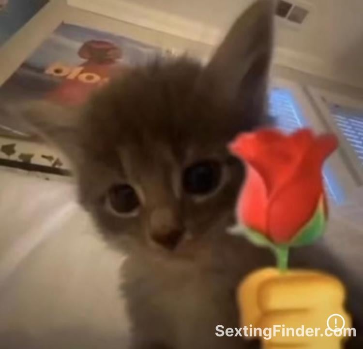 ba6becc0-eed9-11f0-ba2f-31857fc3c29f