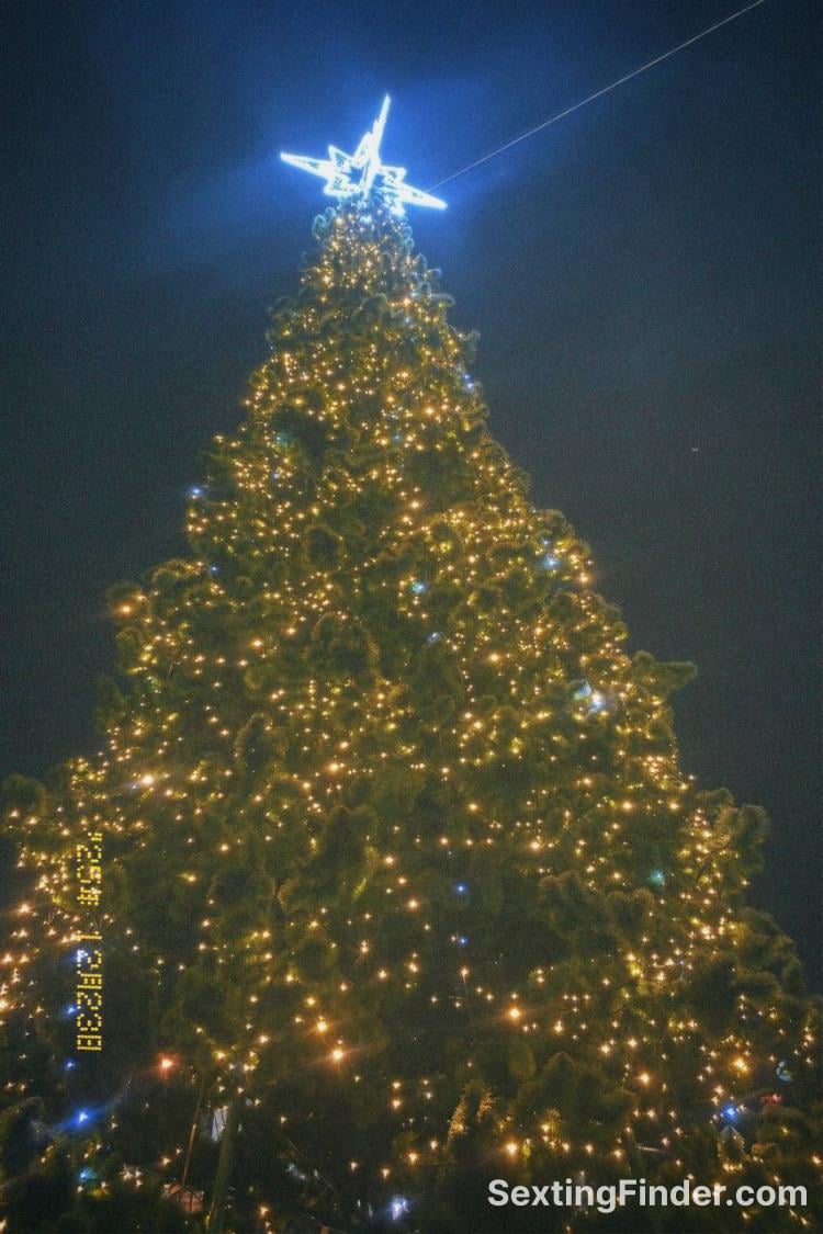 667d5020-f209-11f0-ac2d-79626333abfc