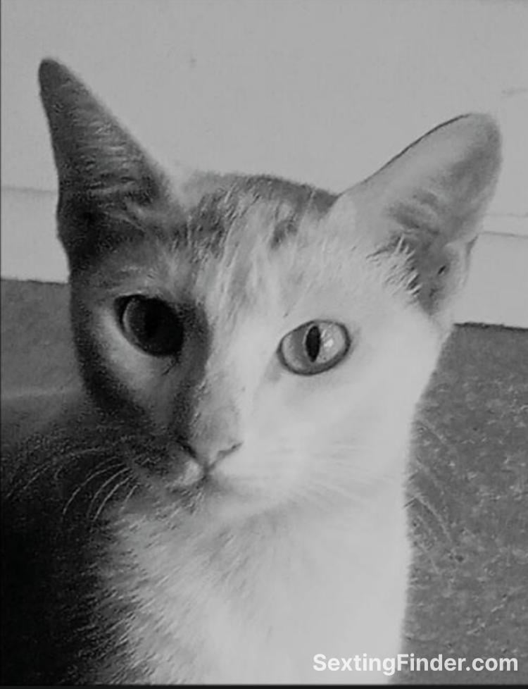 e0b1c730-f4d0-11f0-8dfb-4f7b6d2005a1