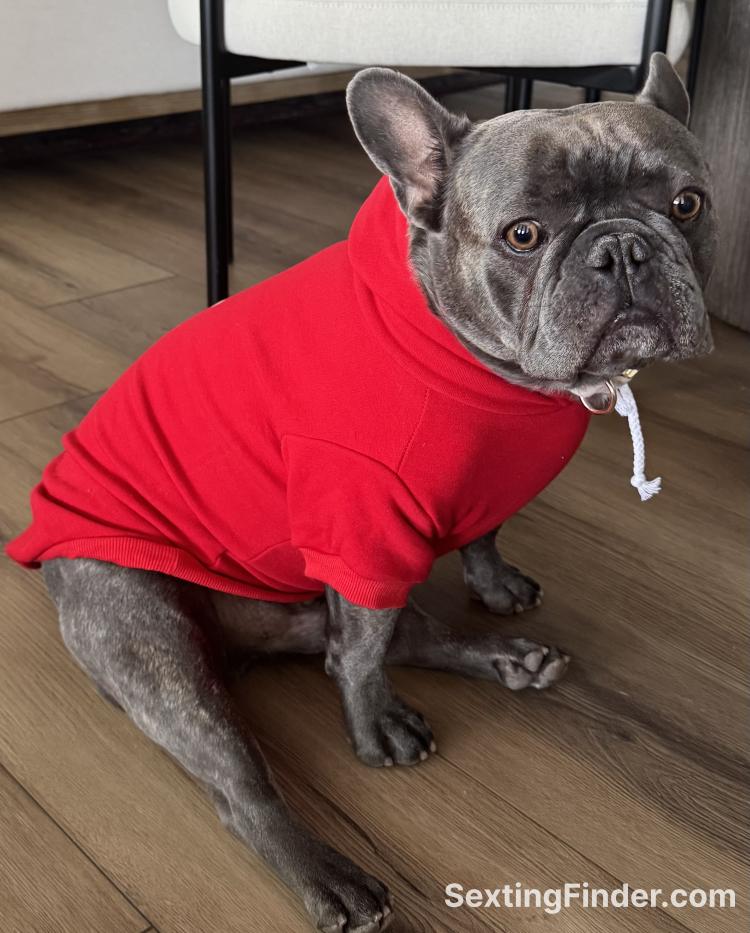 93123560-f510-11f0-90a7-3563e7bddd2a