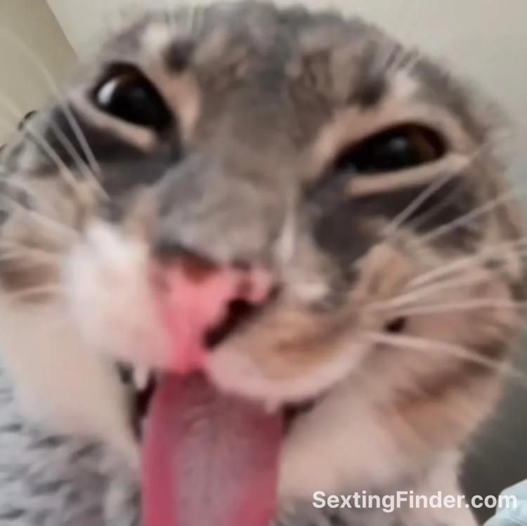 85dbae90-2a7f-11f1-8c0b-63ae2ecc7a7e