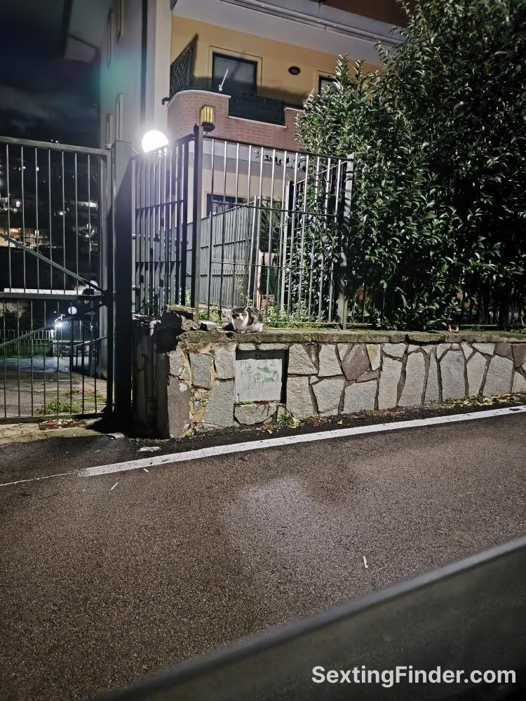 8ca7b960-fde7-11f0-a313-7183650204a2