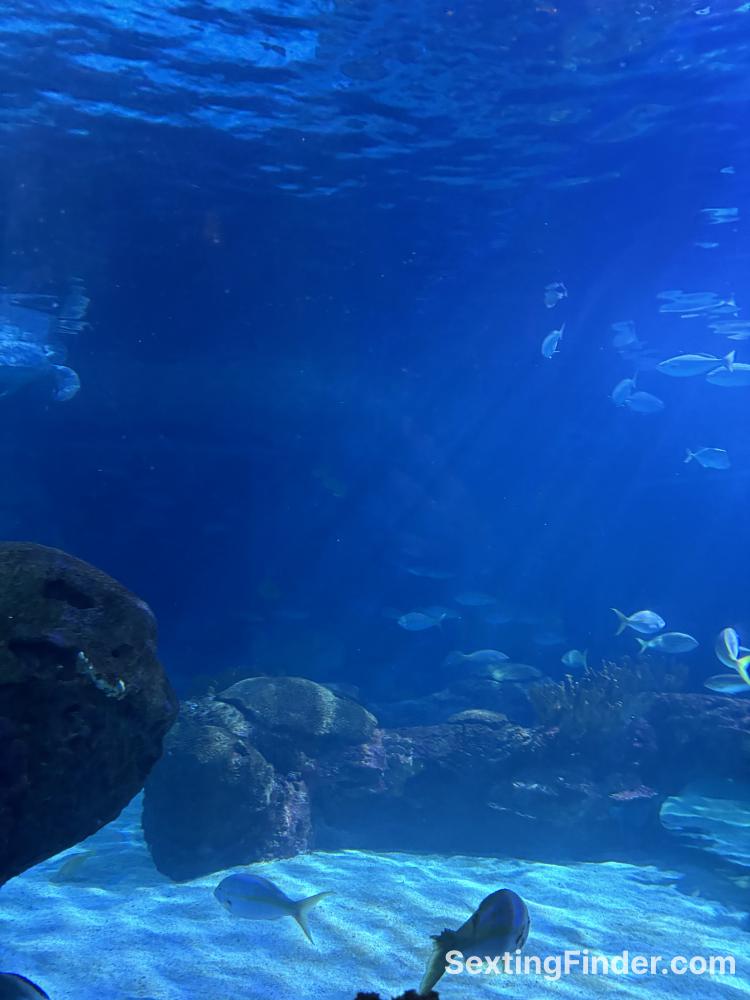 9e4b6110-fd90-11f0-ad8a-b11fc44d28c0