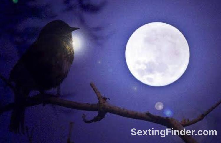 356f9130-fe0c-11f0-8dbb-012e13f60e39