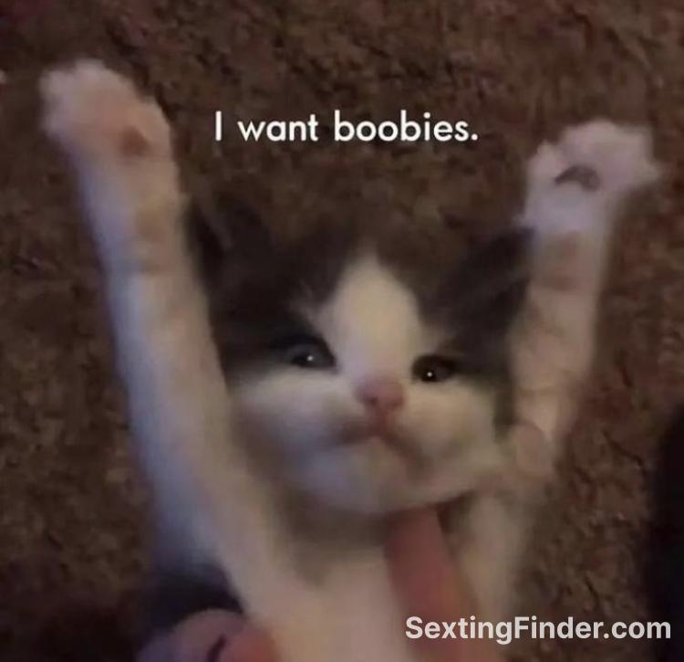 77775240-1115-11f1-af2d-2b996614551f