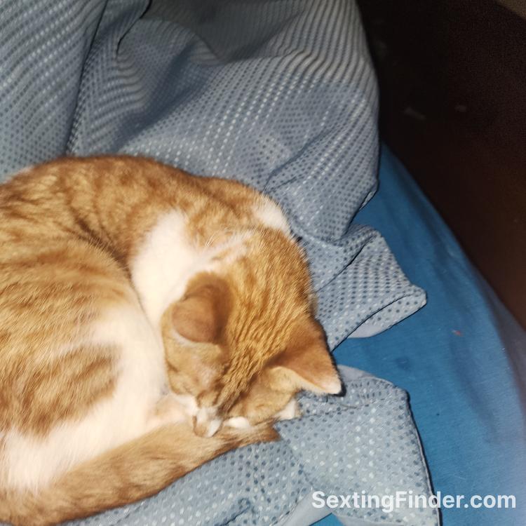 37d08830-135d-11f1-a1ec-ad23f17f793b