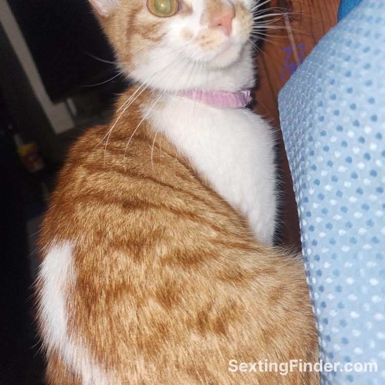 396d4e50-135d-11f1-b1a7-7ffd7cb69669