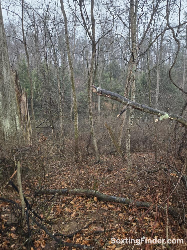 0f18a1b0-13ae-11f1-b0b2-793841c4e240