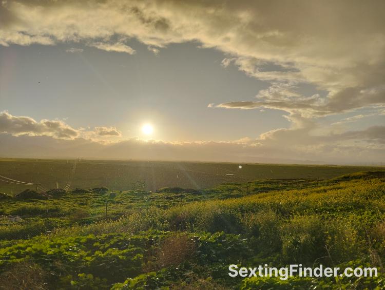 160f2c50-16e4-11f1-bebe-e903572cd2e8