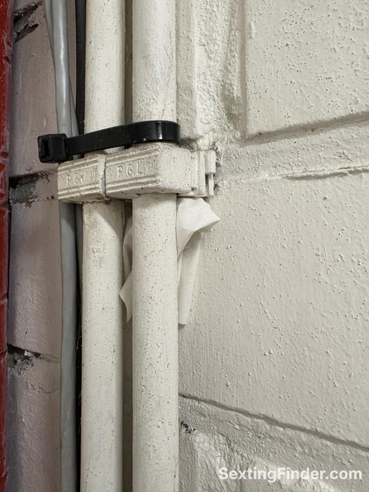 1b30a280-1da1-11f1-b2f9-055128cd3394