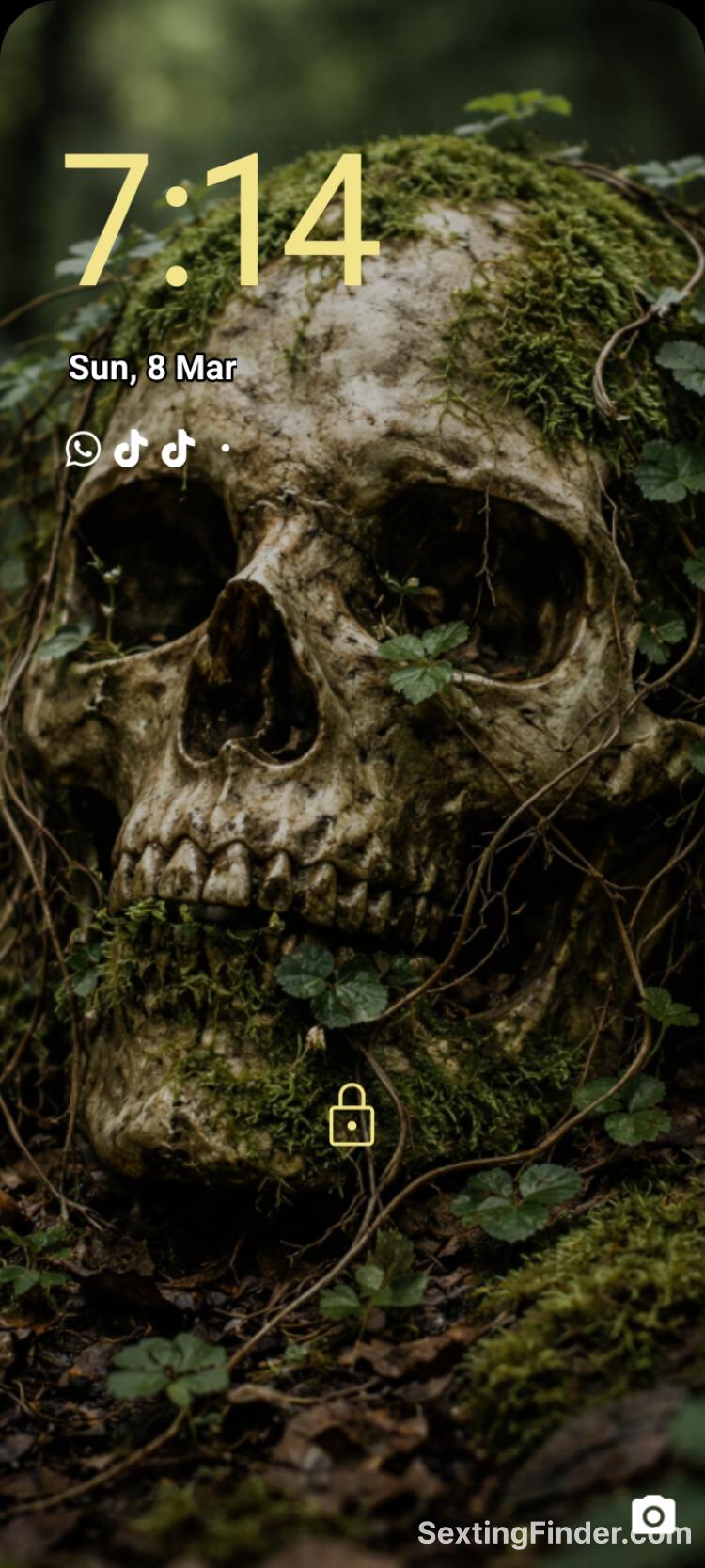 0ab11a20-1df0-11f1-bf63-1f13c4161476