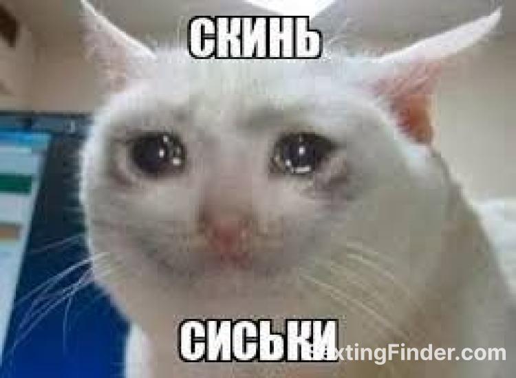 13034170-1e44-11f1-9fe4-d9078efcdb16