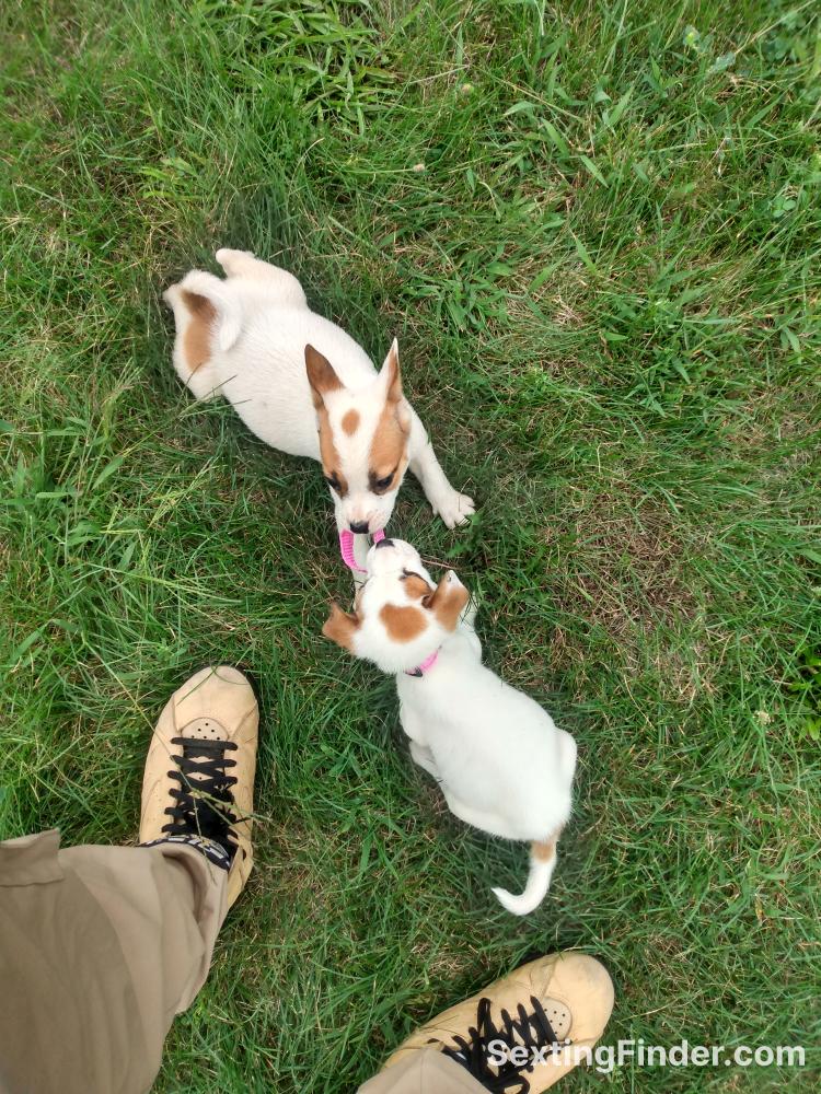 6b925fa0-23bc-11f1-94e9-95062b3ec903