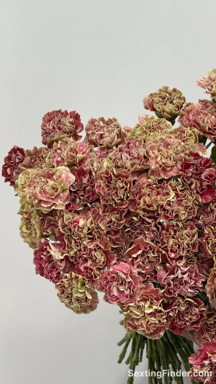 d688da00-2790-11f1-a177-6d23499760e9