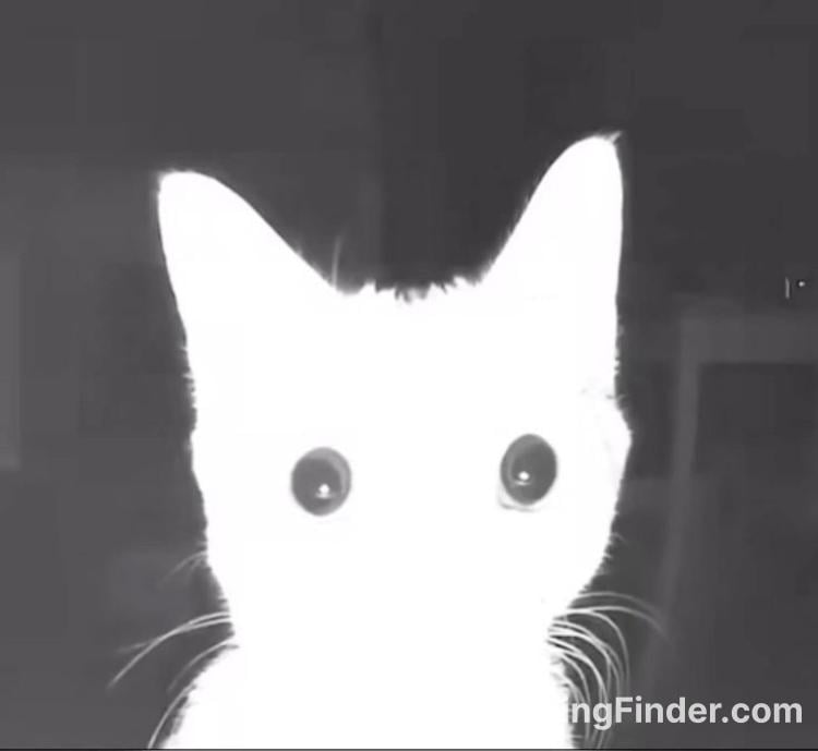 4fdd9800-2ad3-11f1-80d1-9dad4496914b