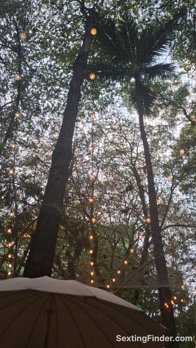 4141a530-3064-11f1-8200-bd078366f9c0