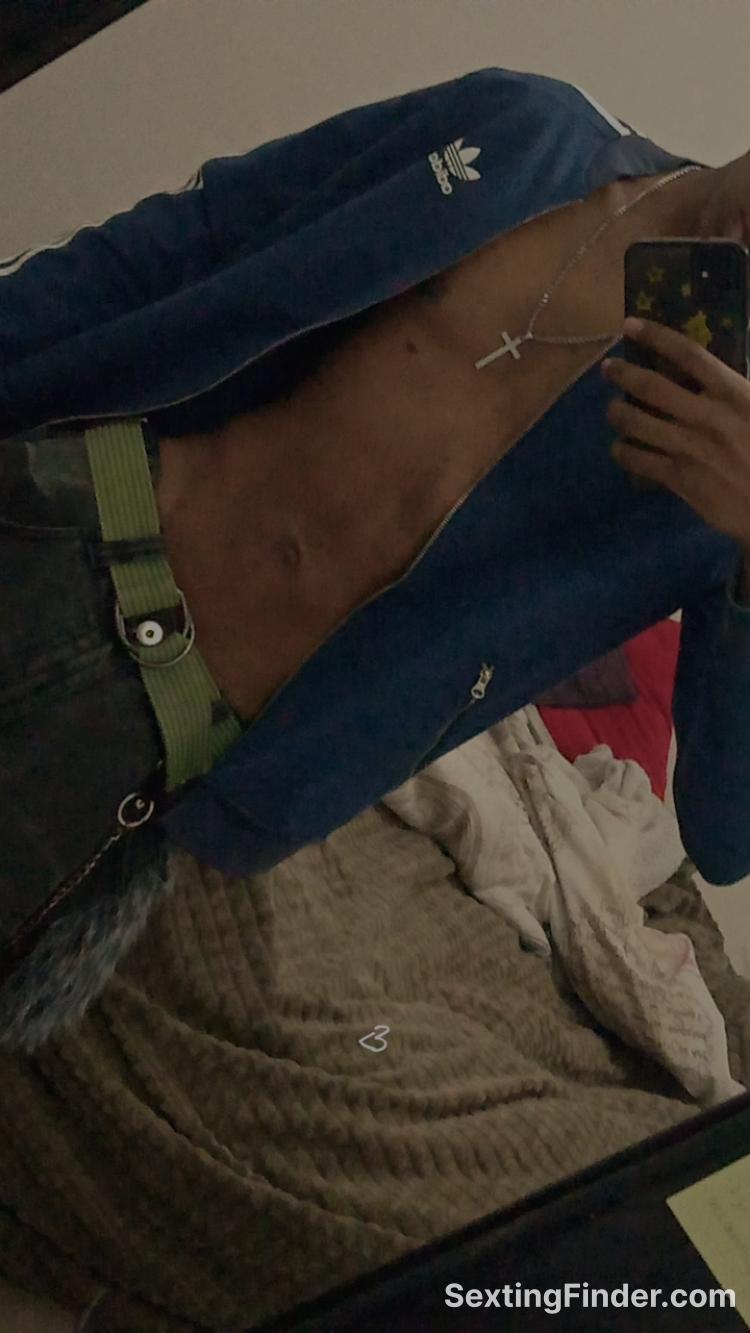 2755f9d0-3bdc-11f1-88a7-499e449d885b