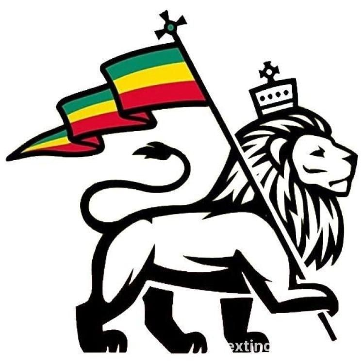 1307a440-315c-11f1-9f64-f3c67dd0daa9