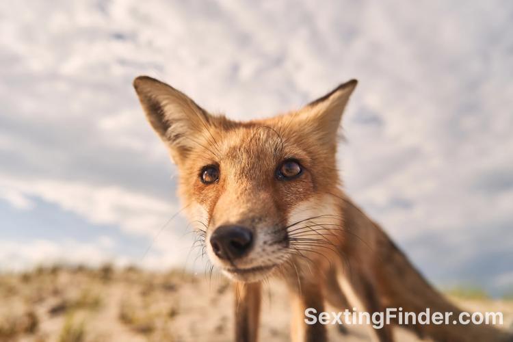 127462f0-3548-11f1-b4d5-078f5057d5c2