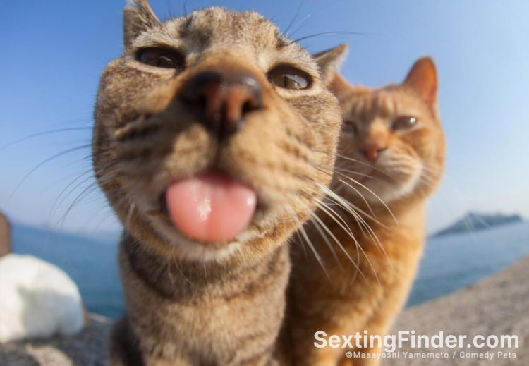 75eb68a0-3992-11f1-9688-456e044e3030