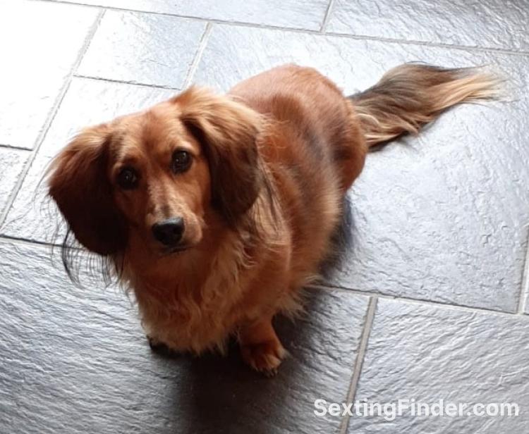 58edf100-3aa8-11f1-87bf-5b895fdf6f9e