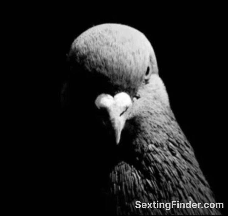 94dd6260-3e22-11f1-8df9-c3e8a6bf7fbf