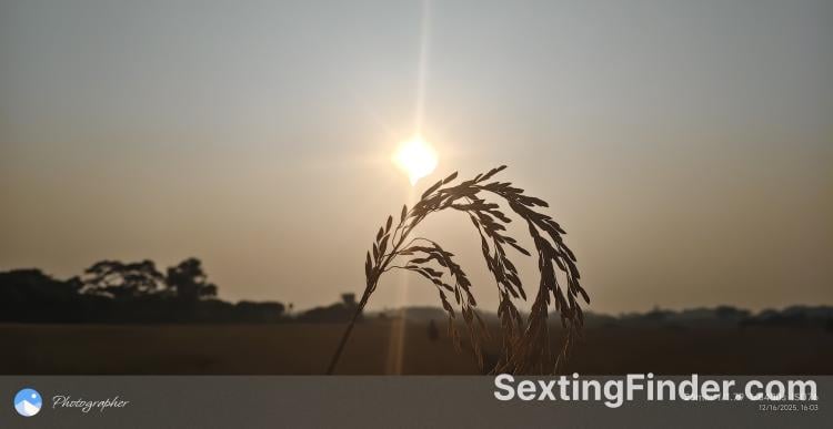 c809b330-7a44-11f1-bb24-b751ffe0a9e6
