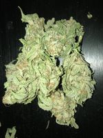 tacticsupply picture