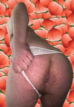 unknowswissguy picture