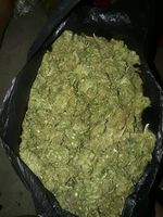 shawnmoller22 picture