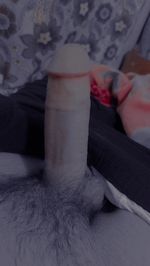 ibrahimhonor picture